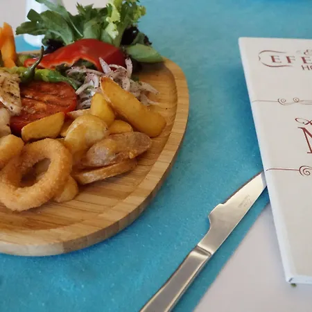 Hotel Efeler Aydin