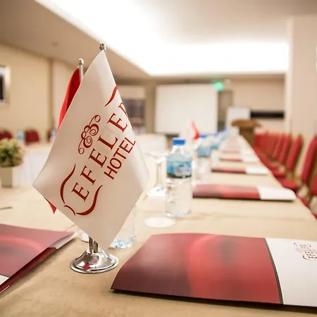 Efeler Hotel 3*