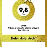 Efeler