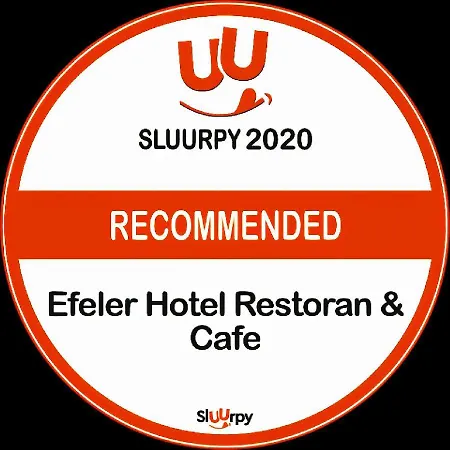 Efeler Hotel 3*