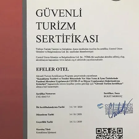 Efeler 3* Aydin