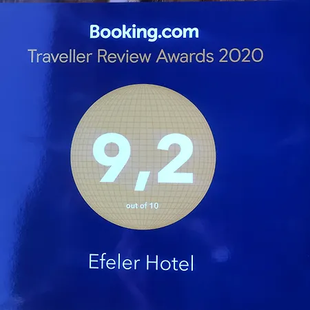 Efeler Aydin