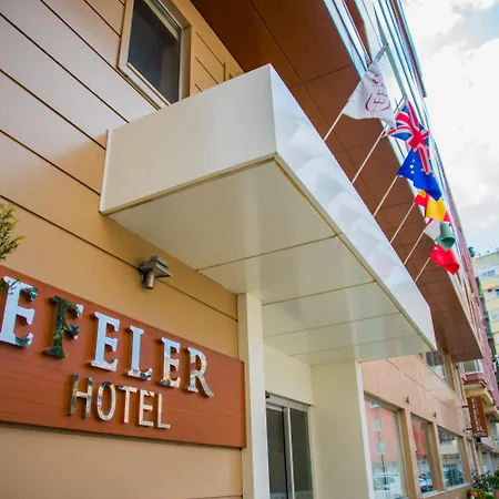 Hotel Efeler 3*