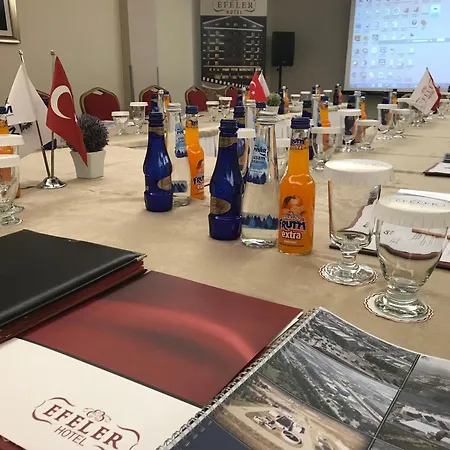 Hotel Efeler 3*