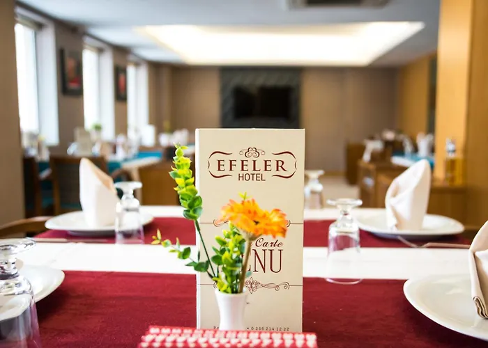 Hotell Efeler 3*
