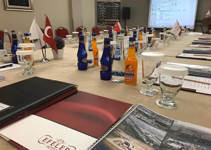 Hotell Efeler 3*